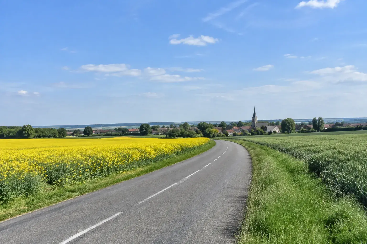 Une petite route qui traverse le plateau agricole à l’est de Metz, entre un champ de colza en fleur et des blés, un village et son clocher au loin